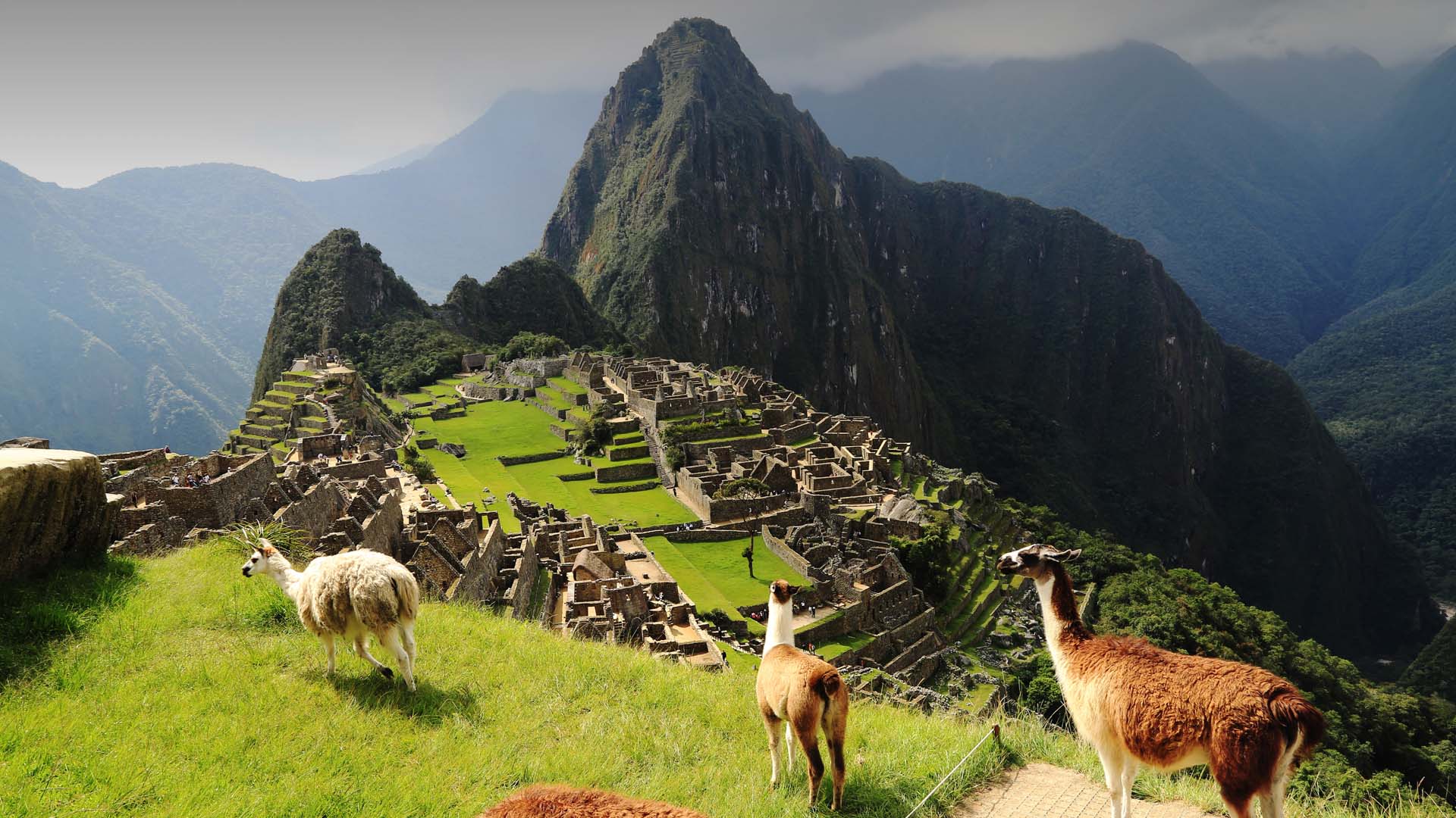 Machupicchu cuzco